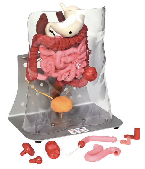 Otto ileostomie/colostomie avansat