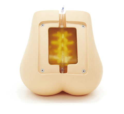 Simulator compatibil cu ultrasunete pentru punctură lombară / epidurală