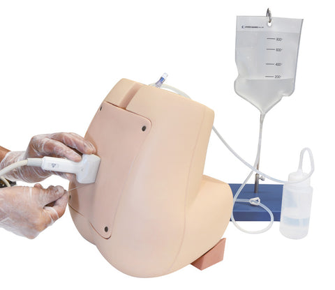Simulator compatibil cu ultrasunete pentru punctură lombară / epidurală