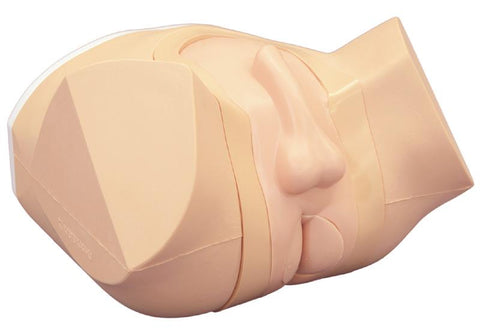 Simulator de prostată și rectal