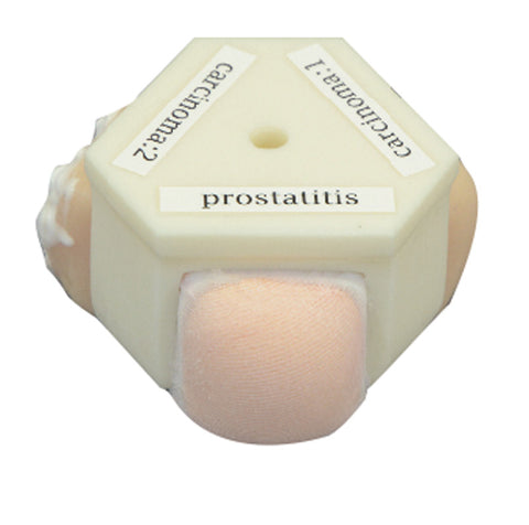 Simulator de prostată și rectal