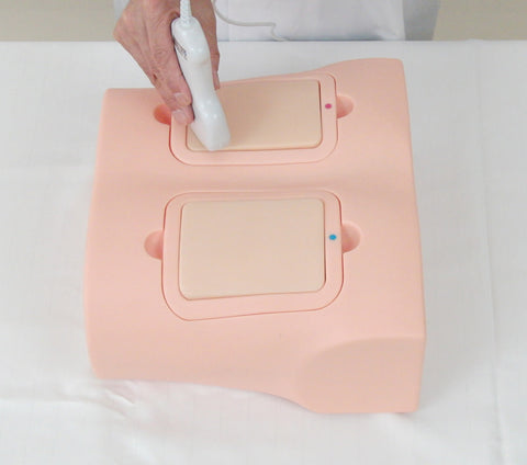 Fantomă antrenament ultrasunete pulmonară
