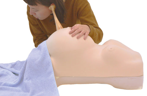 Simulator de examen obstetric