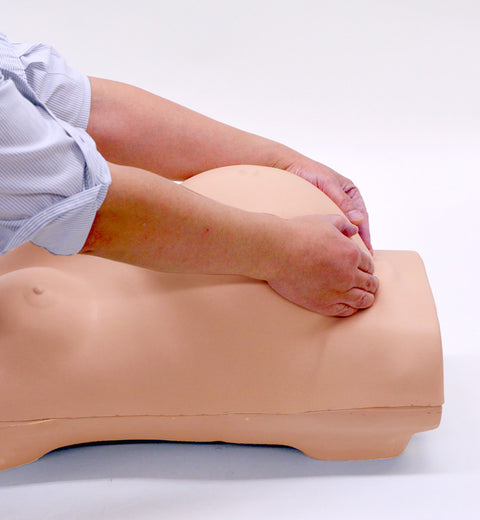 Simulator de examen obstetric