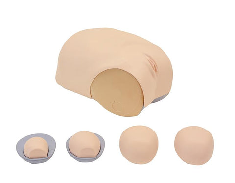 Simulator de evaluare a involuției uterine