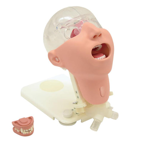 Simulator avansat de îngrijire orală