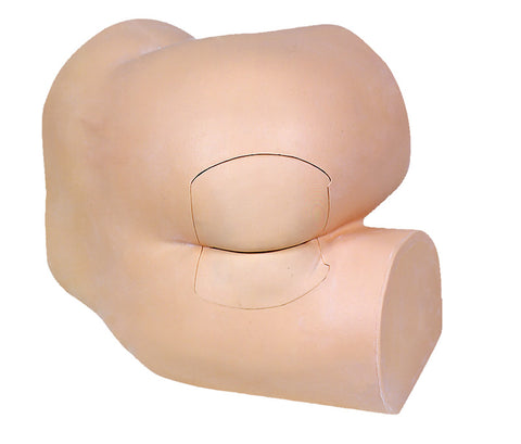 Model pentru examen rectal