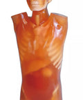 Fantomă CT torso