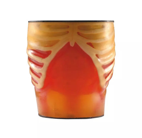 Set anatomie/patologie model pentru ecografie și model anatomic