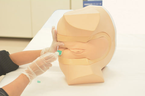 Simulator cateterizare/enema, versiune feminină