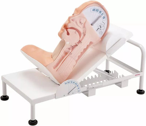 Model mecanism înghițire