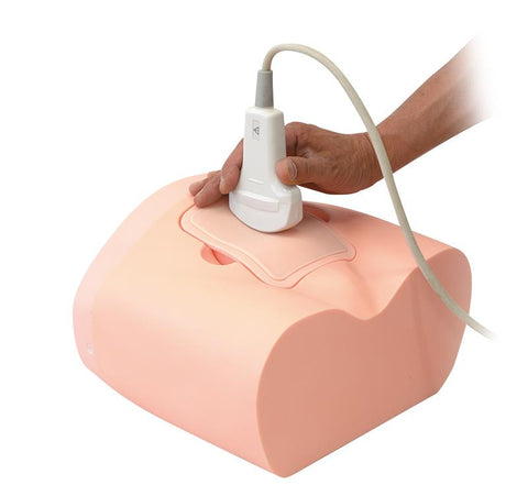 Simulator antrenament măsurare volum urină intravezicală