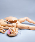 Noelle simulator de naștere maternal și neonatal
