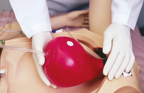 Noelle simulator de naștere maternal și neonatal