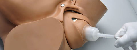 Bebeluș fetal, cordon ombilical și placență pentru livrare vid pentru R17840