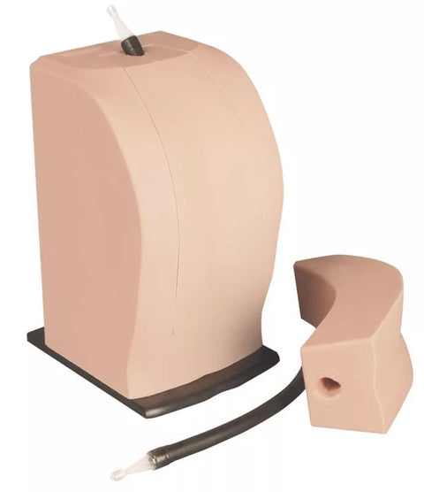 Simulator neuraxial toracic THORAXIS