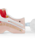 Airway View