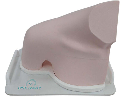 Ultrasound - Exercise Model Shoulder