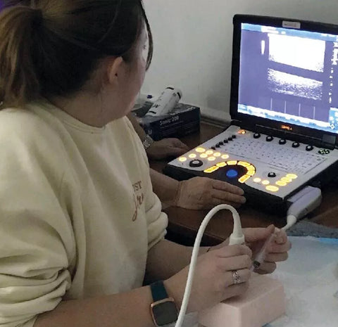 SonoEZ "ECHO" simulator ecografie