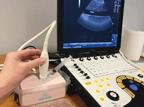 SonoEZ "ECHO" simulator ecografie