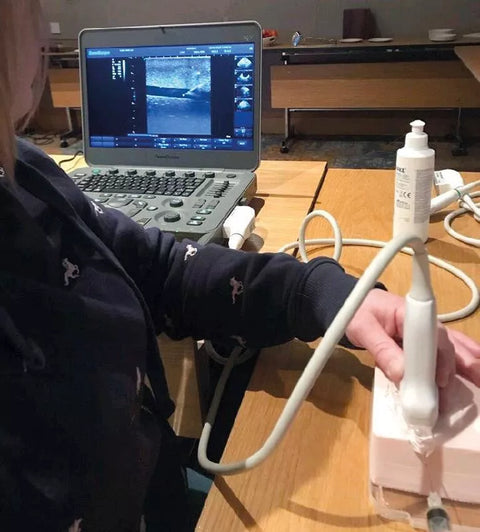 Simulator de ultrasunete SonoEZ "Nerv"