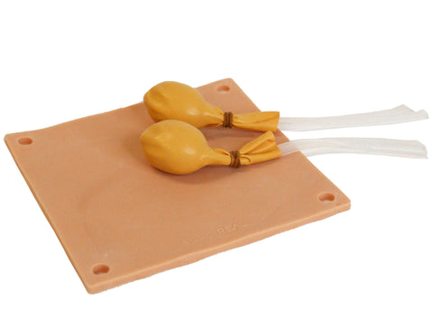 Simulator castrare câine