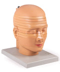 Model cap pentru disc