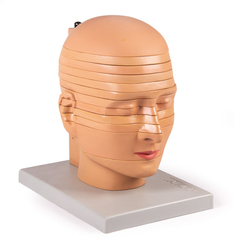 Model cap pentru disc