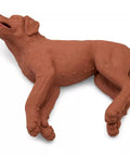 Câine RCP CasPeR