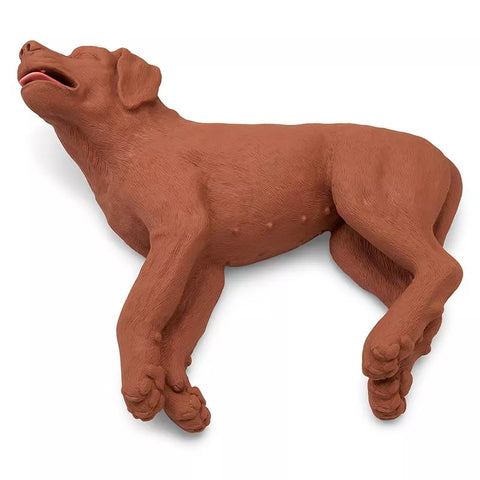 Câine RCP CasPeR