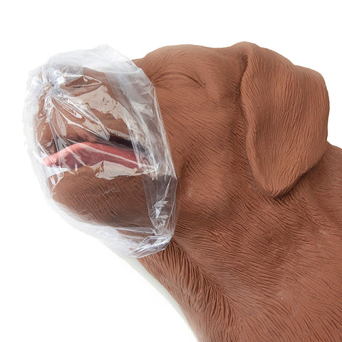 Câine RCP CasPeR