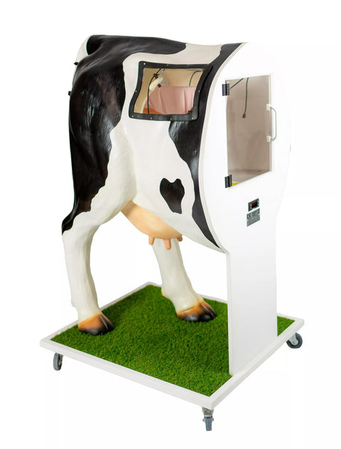 Simulator avansat pentru inseminare artificială (IA) a vacii