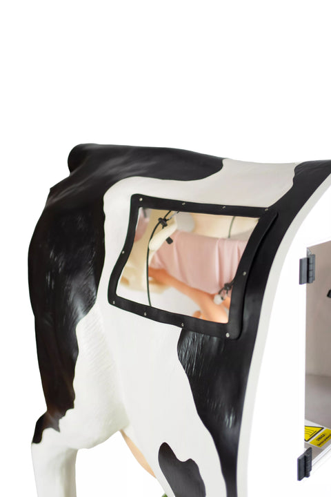 Simulator avansat pentru inseminare artificială (IA) a vacii