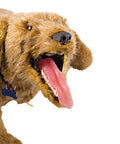 Manechin RCP K-9 Jerry