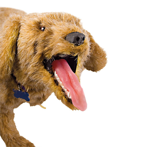 Manechin RCP K-9 Jerry