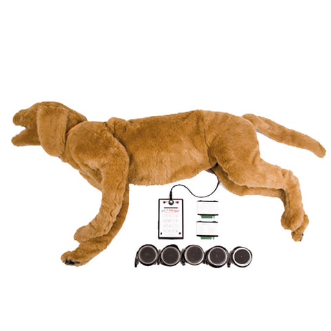 Goldie - Simulator de respirație/sunete cardiace K9