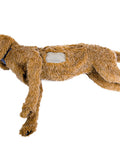 Toracenteză K-9