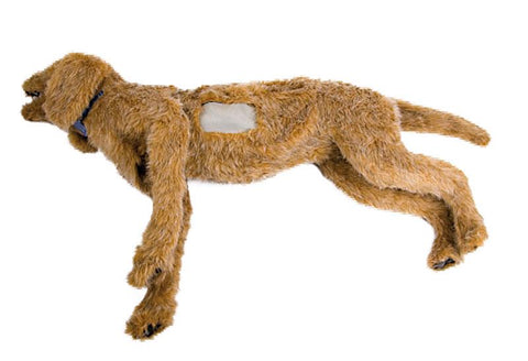 Toracenteză K-9