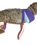 Manechin de Bandajare Rufus