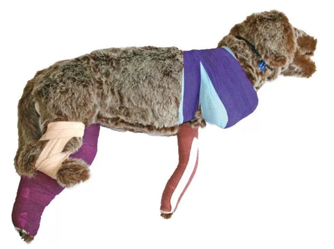 Manechin de Bandajare Rufus