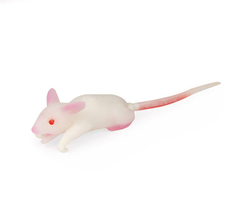 Model de simulare șoarece