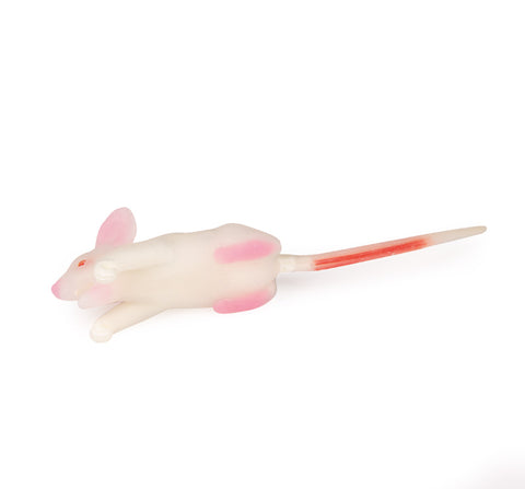 Model de simulare șoarece