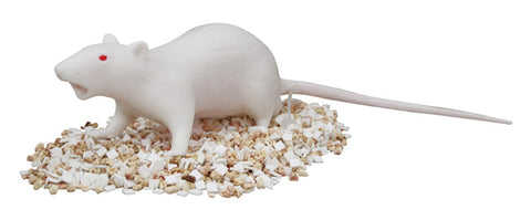 Șobolan Natsume