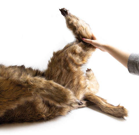 Manechin poziționare canin Rocky