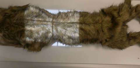 "Rocky" canine positioning manikin