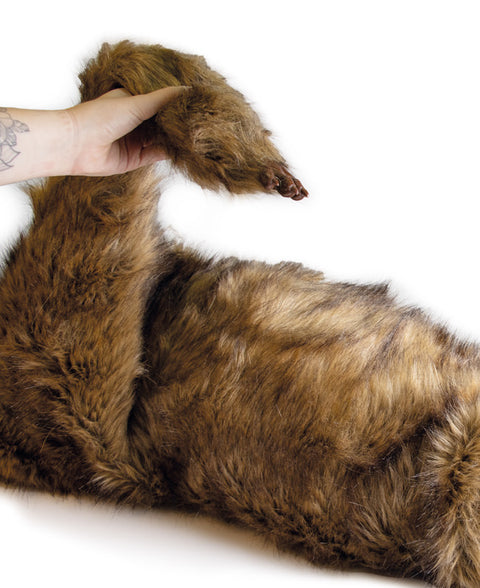 Manechin poziționare canin Rocky