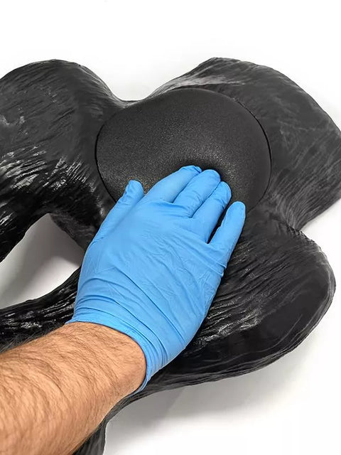 Simulator ecografie caine pentru vezică urinară