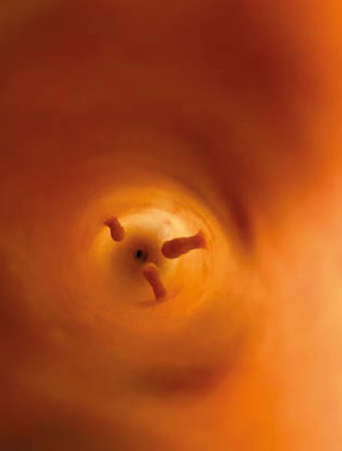 Simulator de examen rectal pentru câine