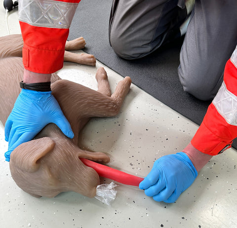 Manechin RCP canin "CooPeR"