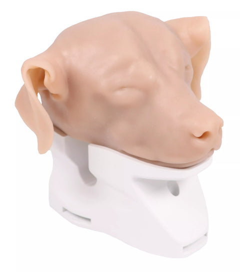 Simulator otoscopie K9